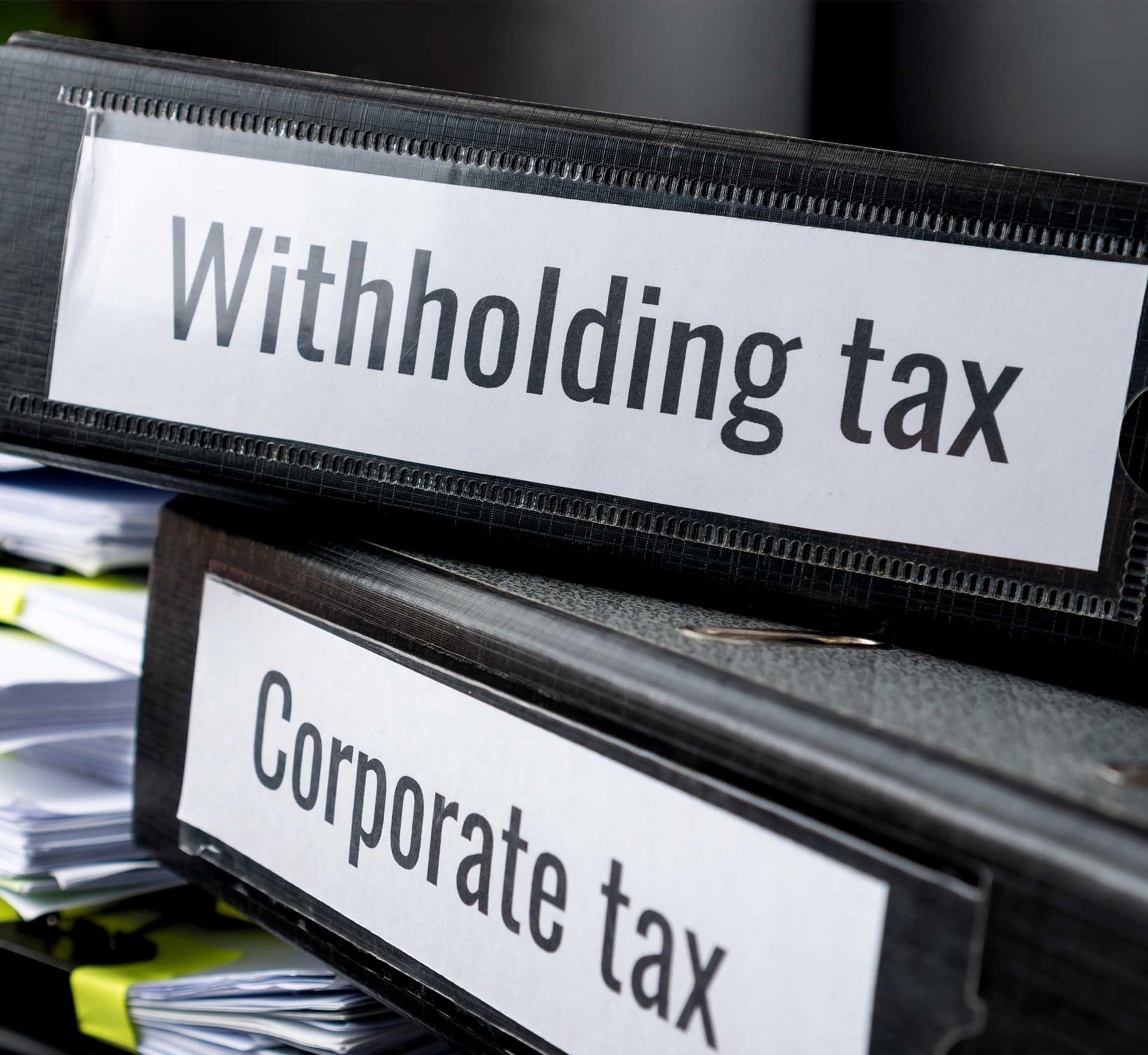 Business Tax Returns